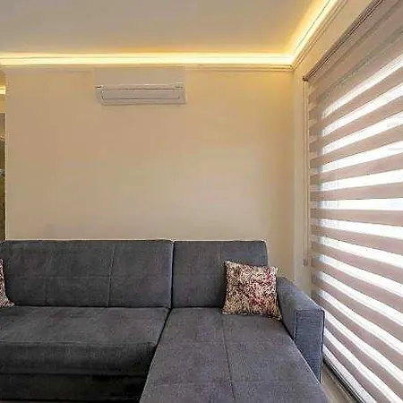 Naz Liman Ortakent